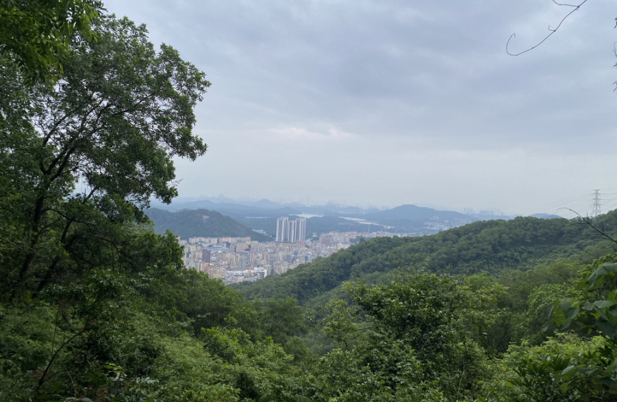 驪微團建|夢想凝聚團隊,團隊鑄就夢想!