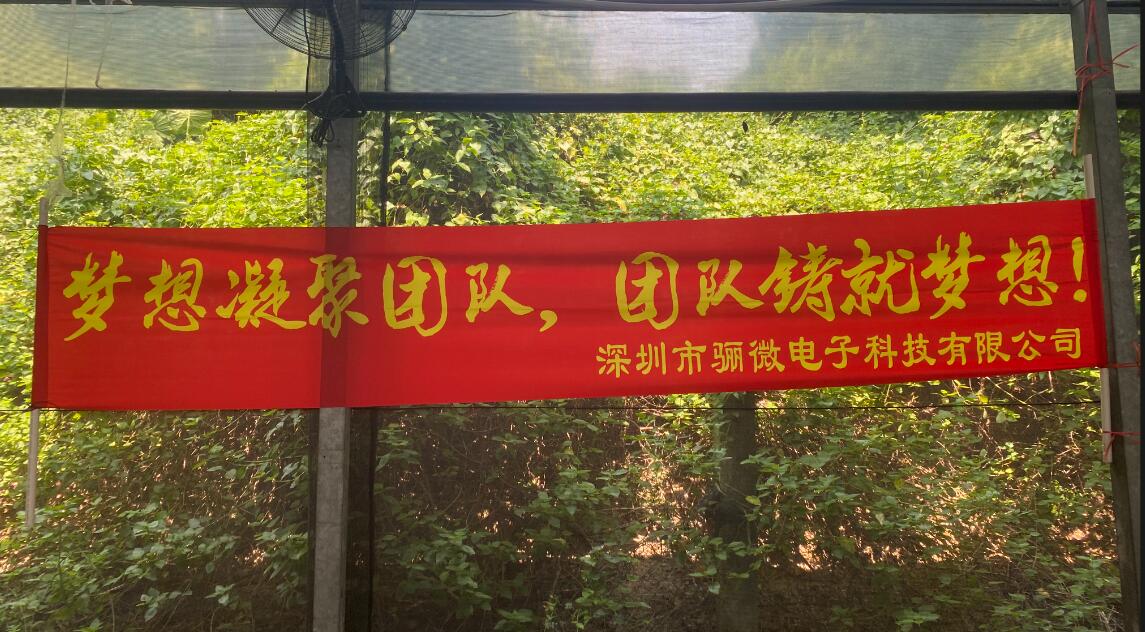 驪微團建|夢想凝聚團隊,團隊鑄就夢想!