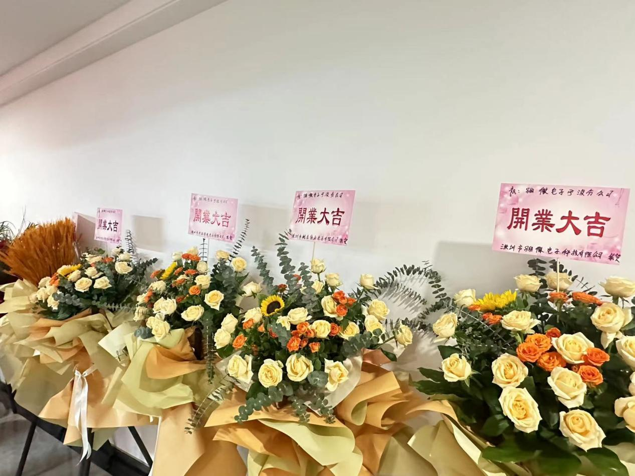 深圳市驪微電子-寧波分公司